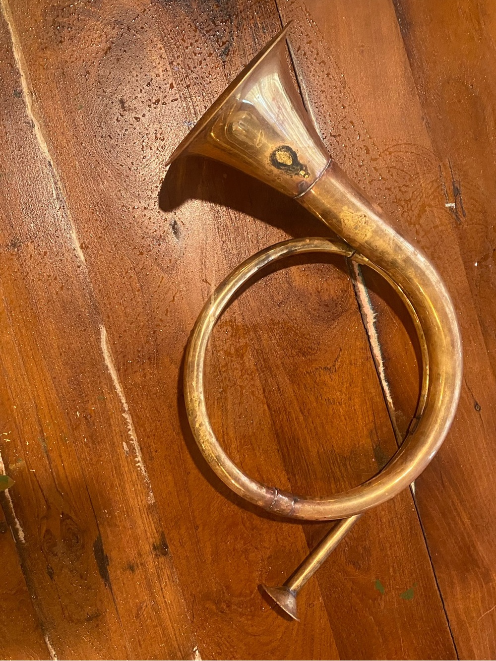 Brass Hunting Horn Wall Accent - Classic Gold Finish